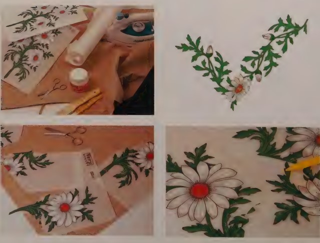 Trasferelli R41 - La Sciuscetteria - Foto 8